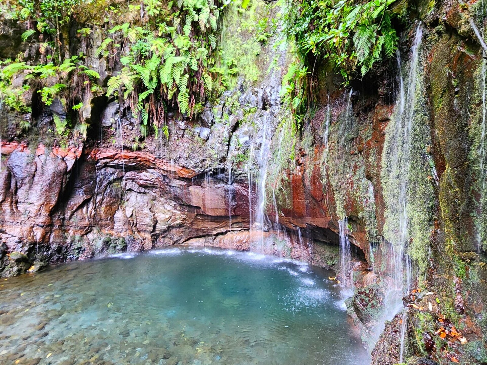 Madeira, Portugal, pr6, Levada 25 fontes