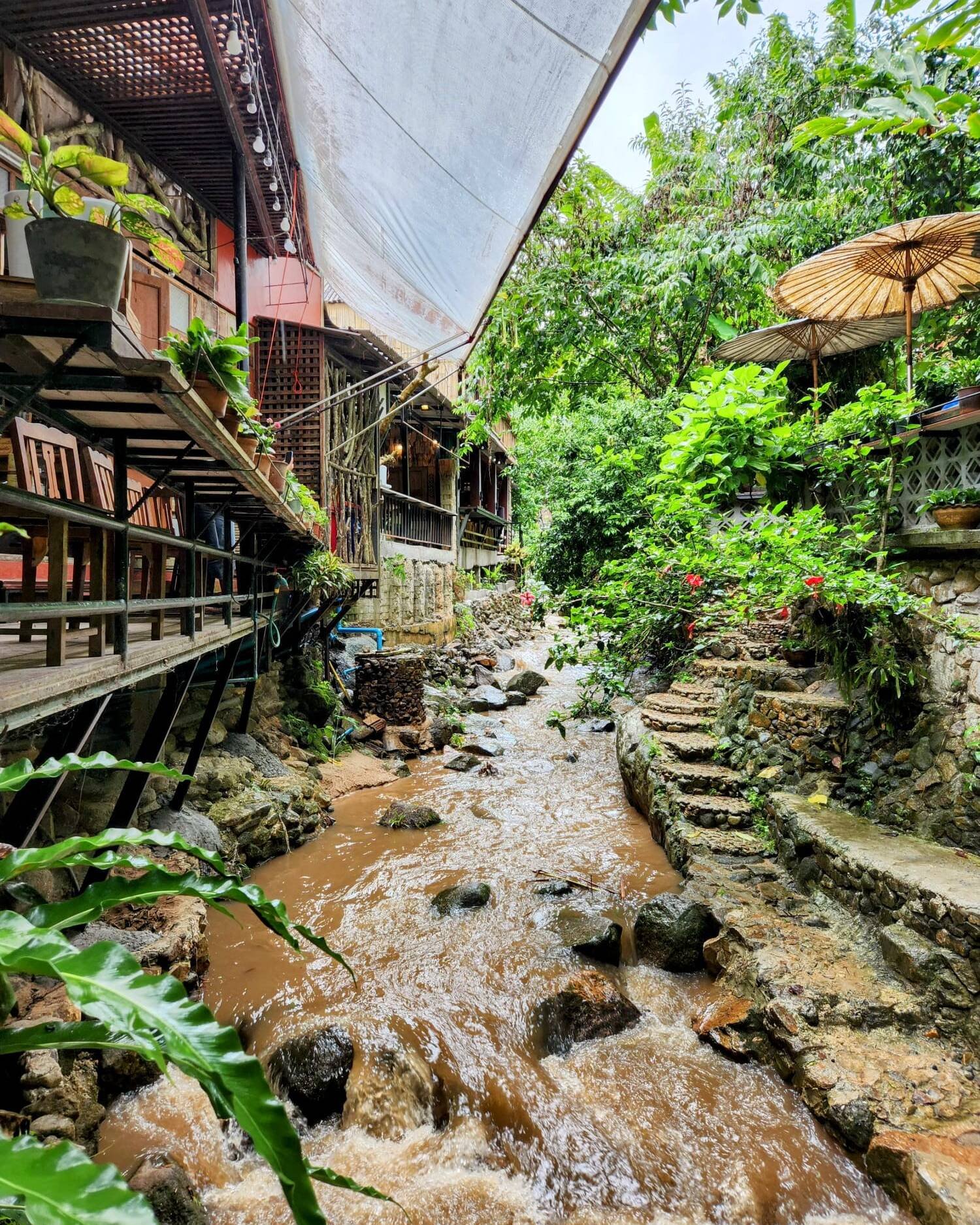 Lung Pud Pa Peng Coffee, Mae Kampong, Thailand