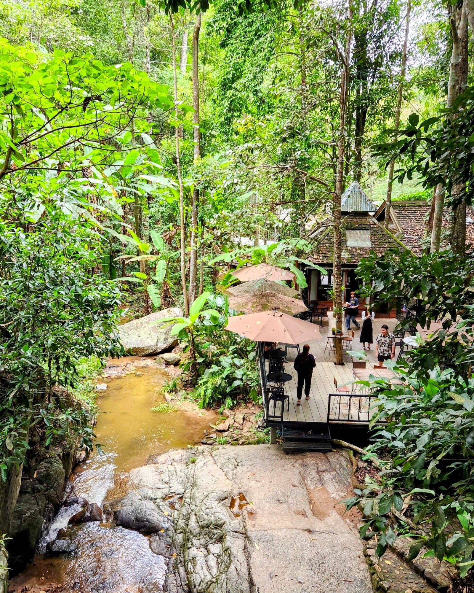 Teddu Coffee, Mae Kampong, Thailand
