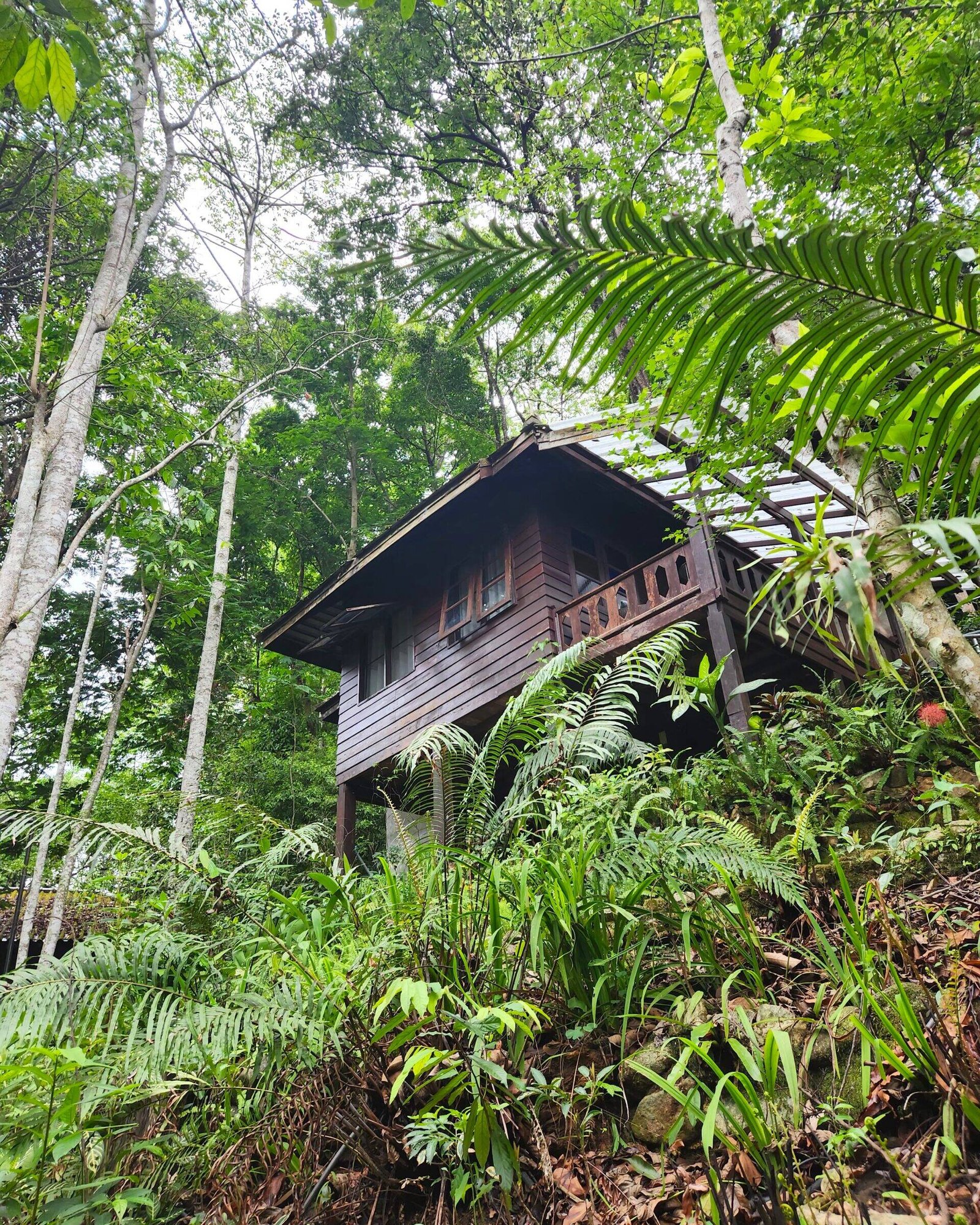 Teddu Inn, Mae Kampong, Thailand