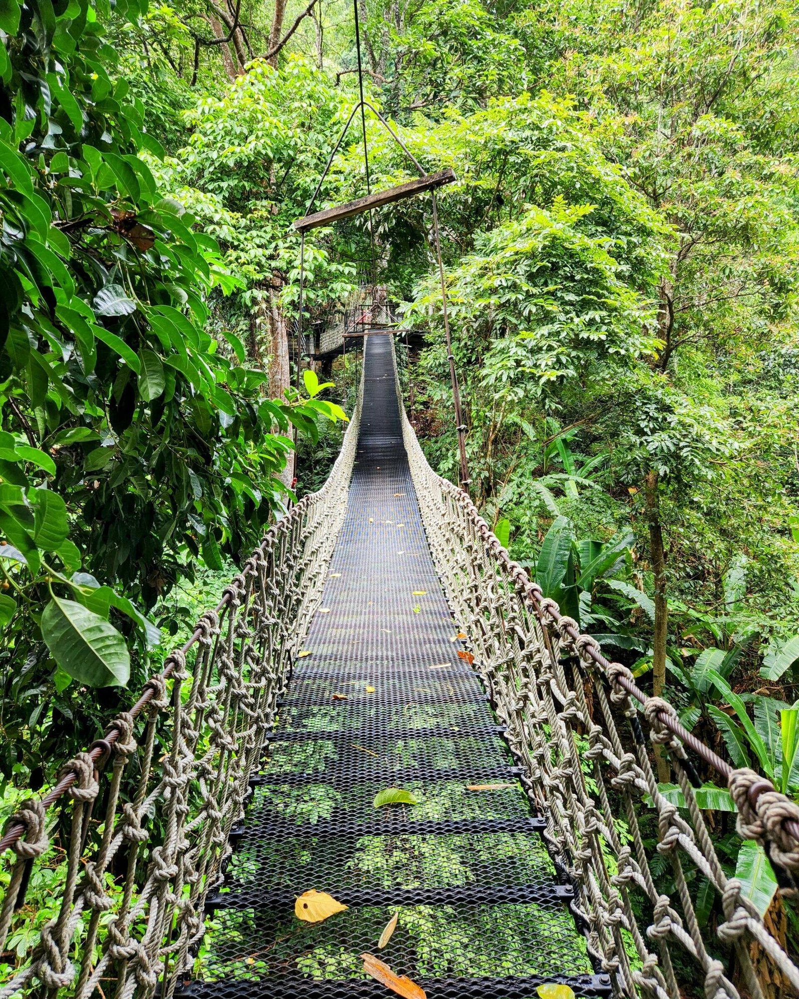 Teddu Inn, Mae Kampong, Thailand