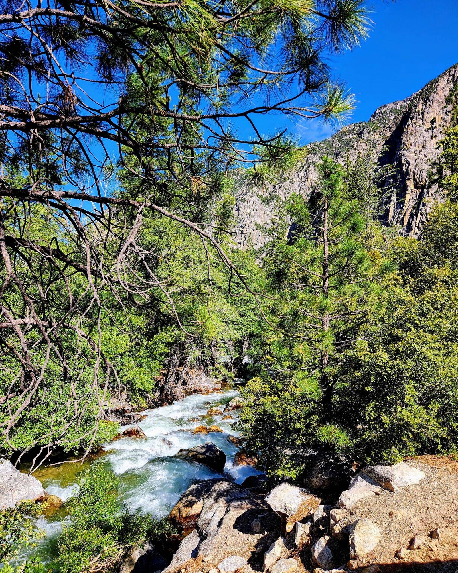 View From Roaring river Falls