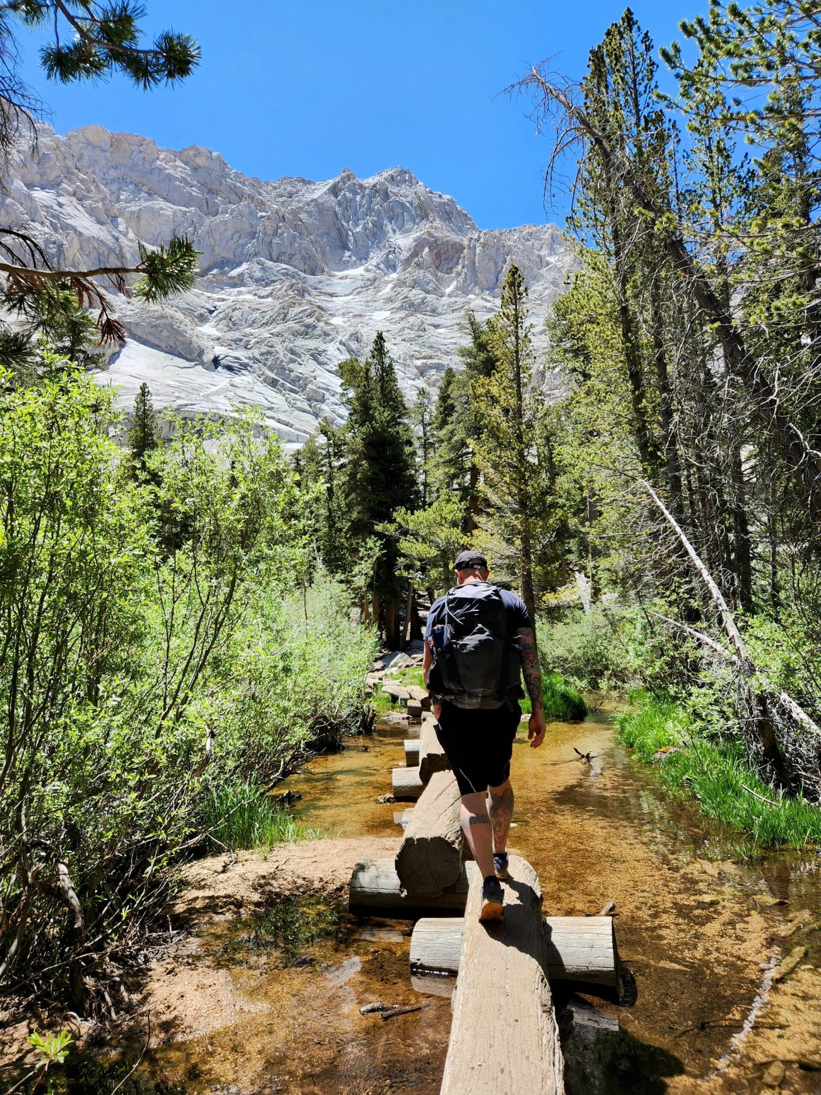 mt-whitney-log-section