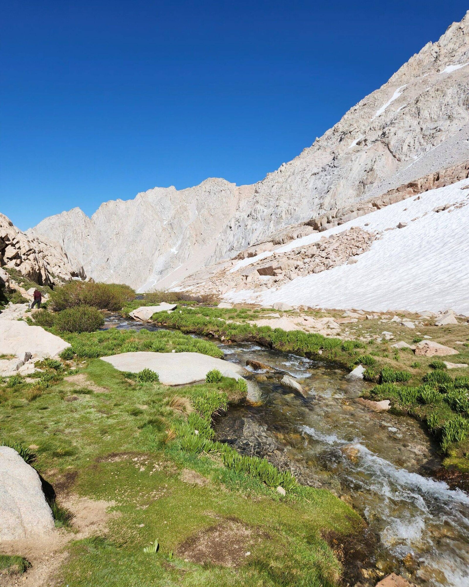 mt-whitney-trailside-meadow-2