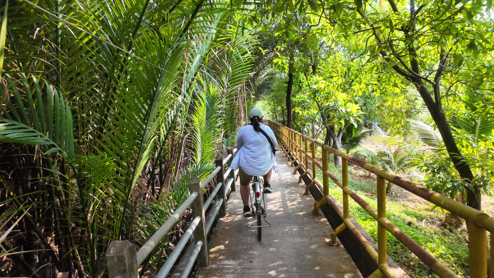 Bang-Kachao-Cycle