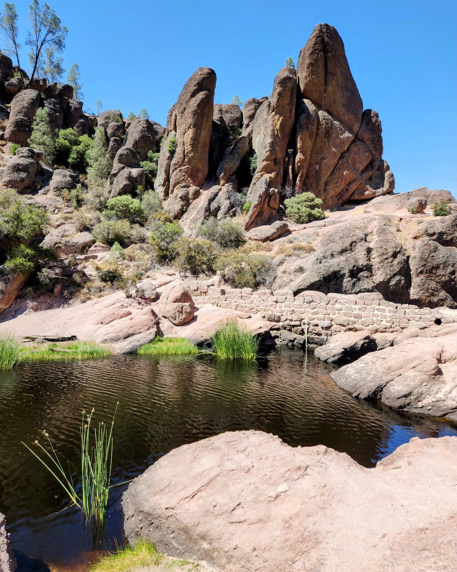 Pinnacles-National-Park-Bear-Gulch-Rosovoir